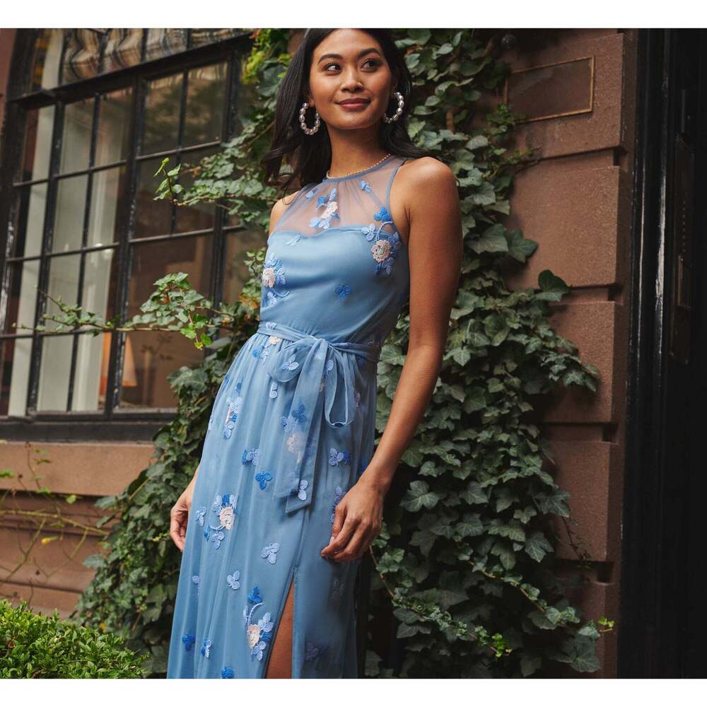 Adrianna Papell Sleeveless Illusion Embroidered Maxi Dress In French Blue Multi